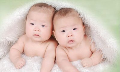 鸡宝宝起名取名分数高的