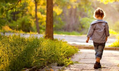 宝宝固定字起名取名大全