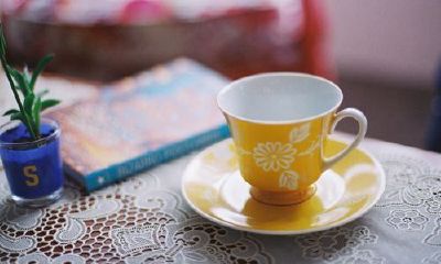 2019姓诸女孩名字洋气的