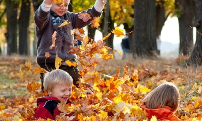 男宝宝起名取名小名儿化