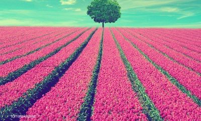 2019姓邱女孩名字洋气的