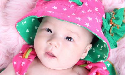 鸡年腊月宝宝起名取名大全