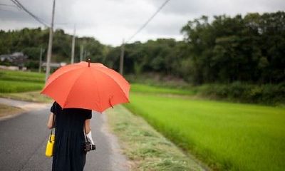 2019姓支女孩名字洋气的