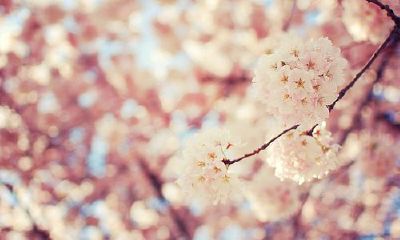 2019姓刁女孩名字洋气的