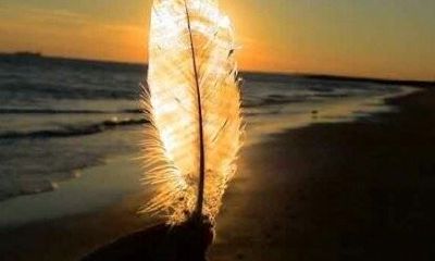 2019姓钟女孩名字洋气的