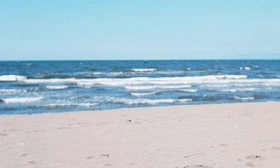 2019姓江女孩名字洋气的