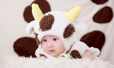 羊年宝宝起名取名带喆