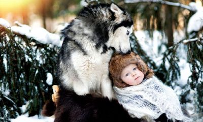 猴宝宝可以起名取名麒麟吗