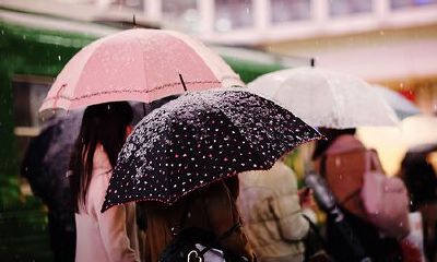 2019姓柯女孩名字洋气的