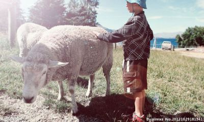 宝宝起名取名越彬