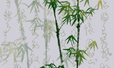 元宵佳节出生的人比较特殊2023年