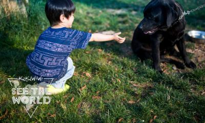 猴年戴姓宝宝起名取名