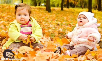 二月男猴宝宝起名取名大全