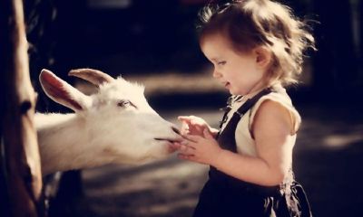 维子辈男宝宝起名取名孔