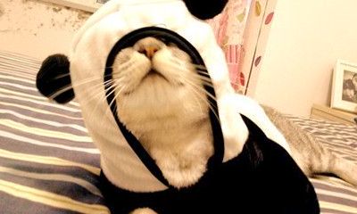 双鱼座：会玩就是玩伴