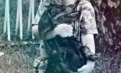 给宝宝起名取名叫张鲲