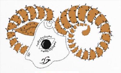白羊座最怕的追求者是啥样儿？