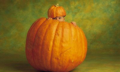 猴年春季带茂字女宝宝起名取名