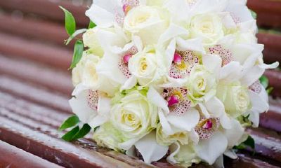 双鱼座的来源和由来