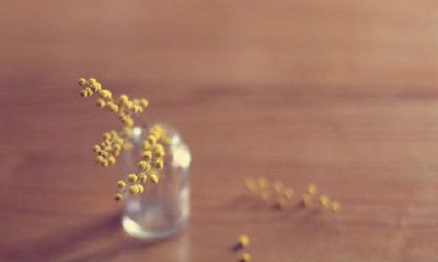 双鱼座女生如何起名