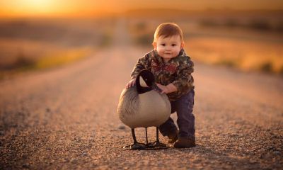 猴宝宝洪字起名取名