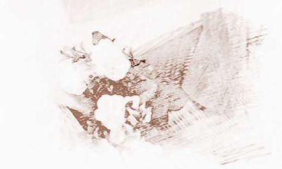 双鱼座女生对人有好感的表现