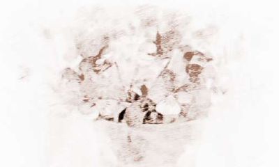 挖掘双鱼座在工作中的长处