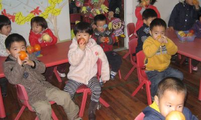 熊猫宝宝起名取名“日光”的含义