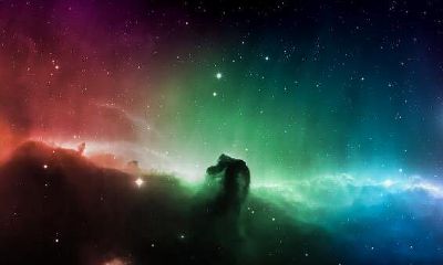 双鱼座在爱情中有哪些弱点