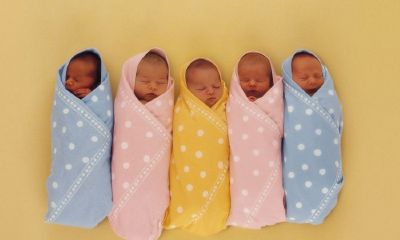 长春宝宝起名取名公司