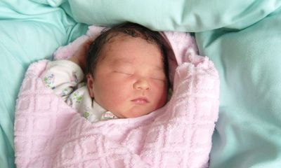 周姓羊宝宝起名取名大全