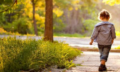 杨氏宝宝羊年起名取名