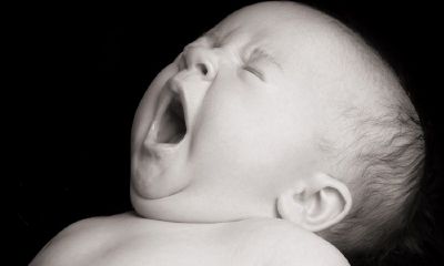 莯莯给猴宝宝起名取名好不