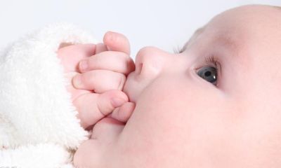 赵姓马宝宝起名取名大全