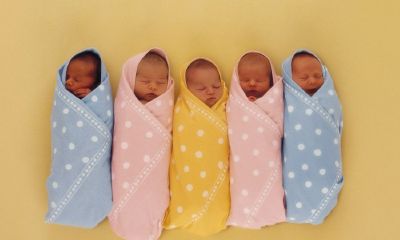 巨姓羊宝宝起名取名大全