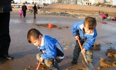 2017年属鸡的宝宝起名取名