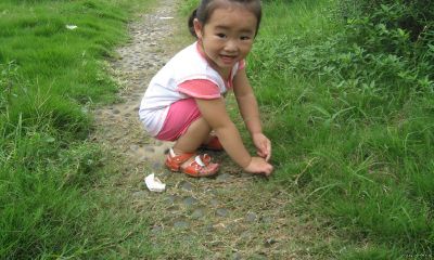 兔年女宝宝起名取名可以用晨字