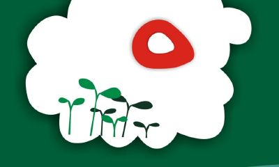 邵姓马宝宝起名取名