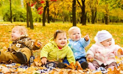 姓杨马宝宝起名取名女孩样板