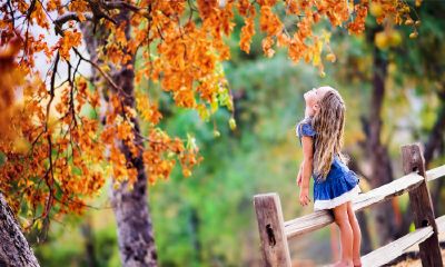 马年女宝宝诗经起名取名