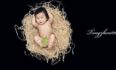 章氏宝宝起名取名