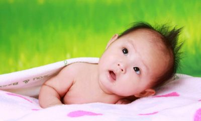 猴年姓赵宝宝起名取名大全