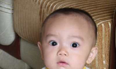 2014马宝宝起名取名宜用字