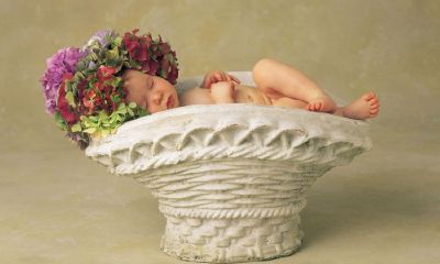 2015羊宝宝起名取名大全女100姓张分