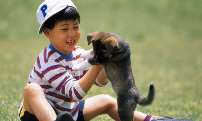 羊年江姓宝宝起名取名单名