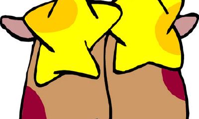 双子座优点与缺点分析