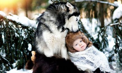 卢姓羊宝宝女孩起名取名