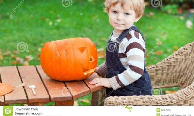 羊年宝宝起名取名姓钟