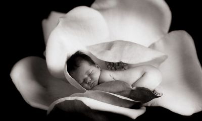 姓茘羊年男宝宝起名取名大全