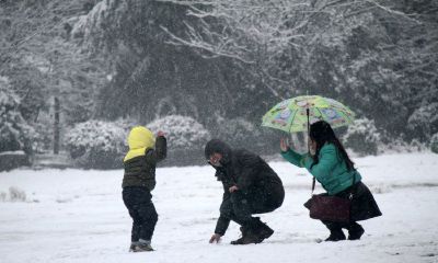 宝宝起名取名网羊宝宝姓刘